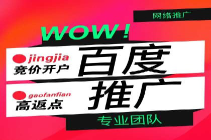 SEM优化实战：案例分析与优化建议