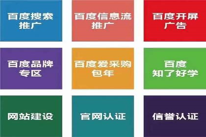 竞价推广公司案例：助力企业实现品牌飞跃